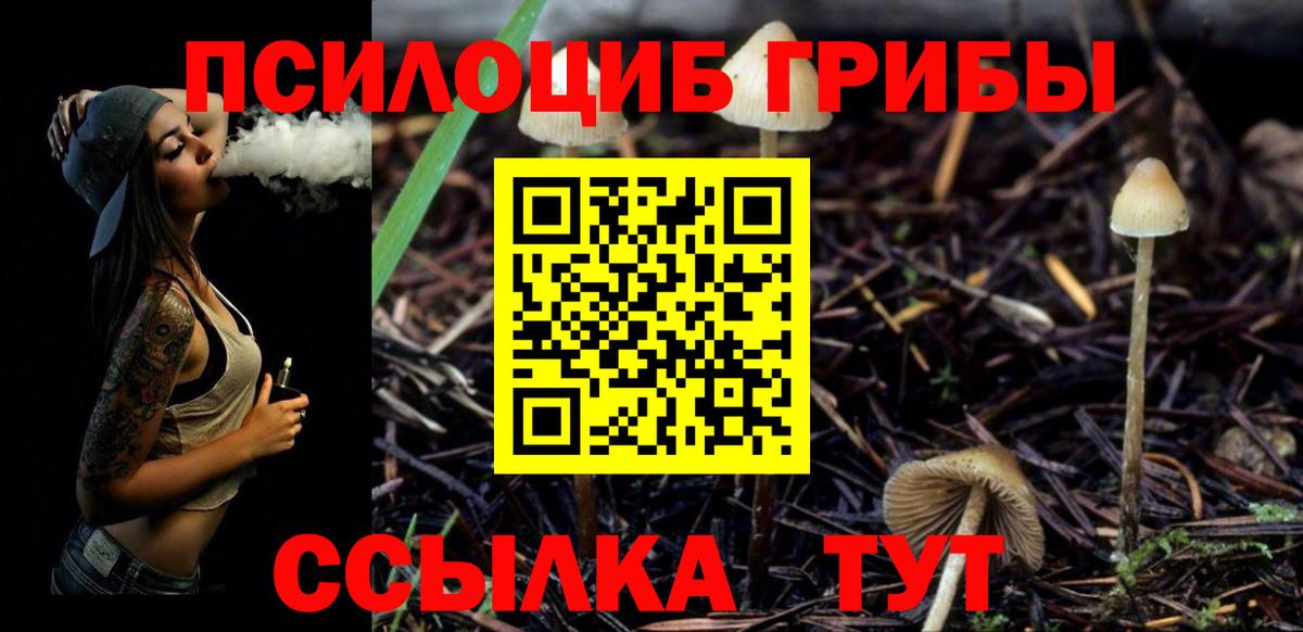 Карпинск  Галлюциногенные грибы прущие грибы  Галлюциногенные грибы прущие грибы  Вход с VPN 
